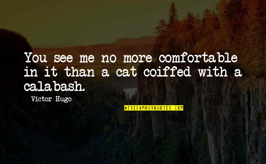 Just Me And My Cat Quotes By Victor Hugo: You see me no more comfortable in it