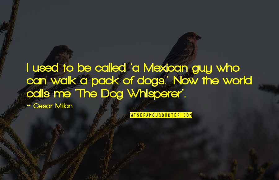 Just Me And My Dog Quotes By Cesar Millan: I used to be called 'a Mexican guy Just Me And My Dog Quotes By Cesar Millan: I used to be called 'a Mexican guy