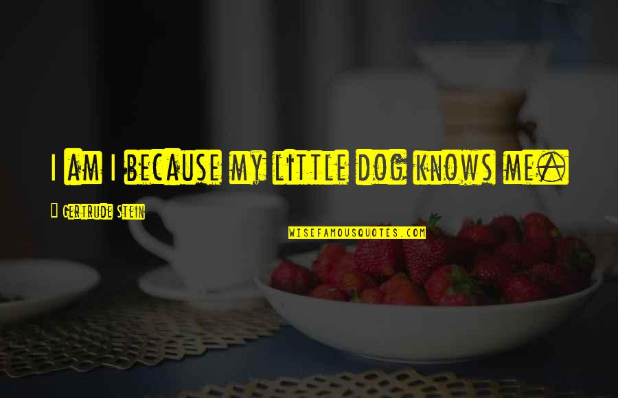 Just Me And My Dog Quotes By Gertrude Stein: I am I because my little dog knows