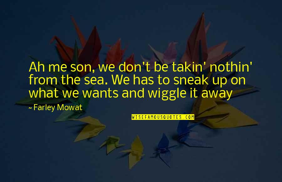 Just Me And My Son Quotes By Farley Mowat: Ah me son, we don't be takin' nothin'