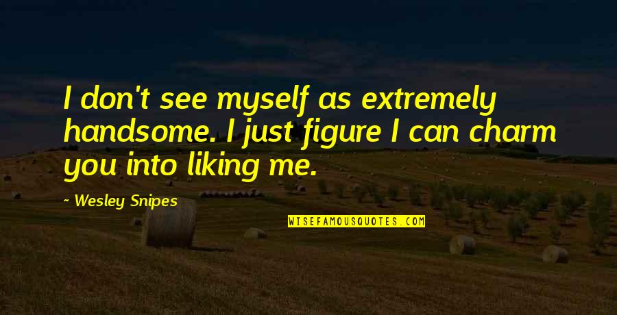 Just Me Myself Quotes By Wesley Snipes: I don't see myself as extremely handsome. I Just Me Myself Quotes By Wesley Snipes: I don't see myself as extremely handsome. I