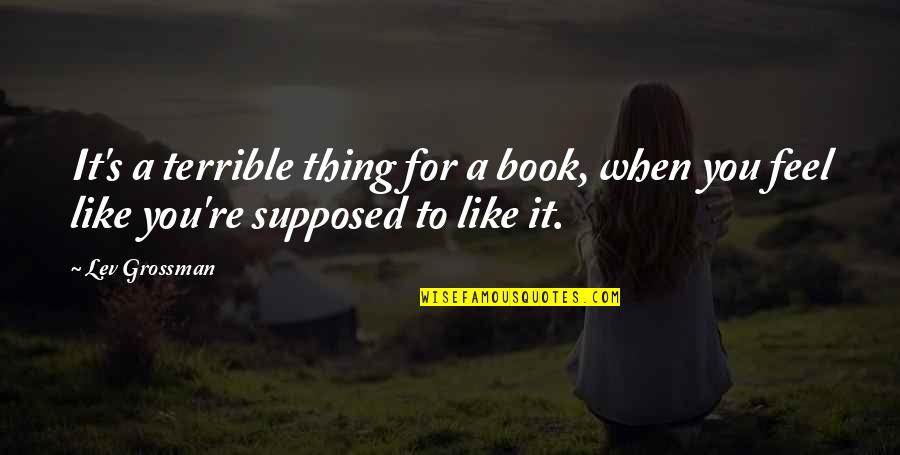 Just Meeting Someone And Liking Them Quotes By Lev Grossman: It's a terrible thing for a book, when