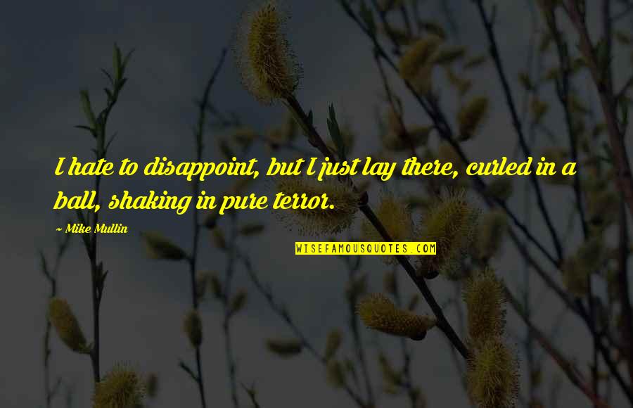 Just Mike Quotes By Mike Mullin: I hate to disappoint, but I just lay