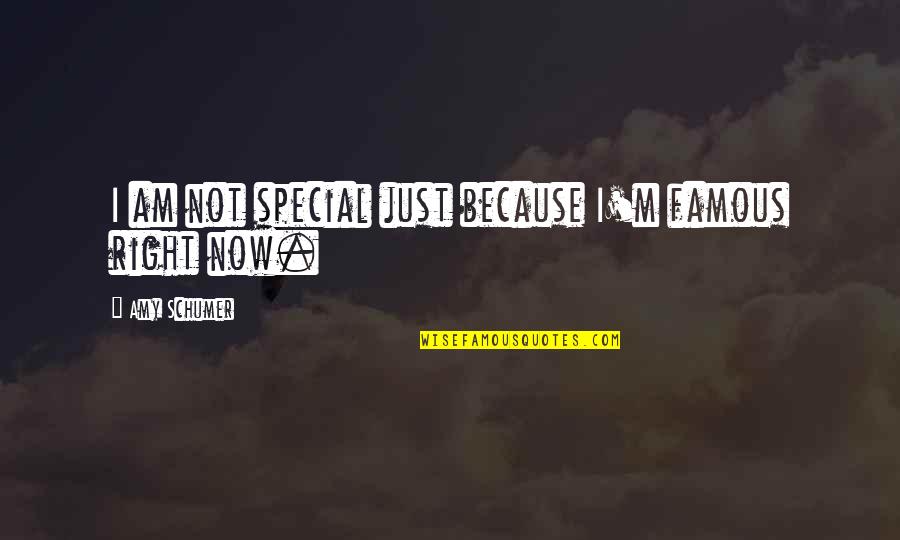 Just Not Right Quotes By Amy Schumer: I am not special just because I'm famous