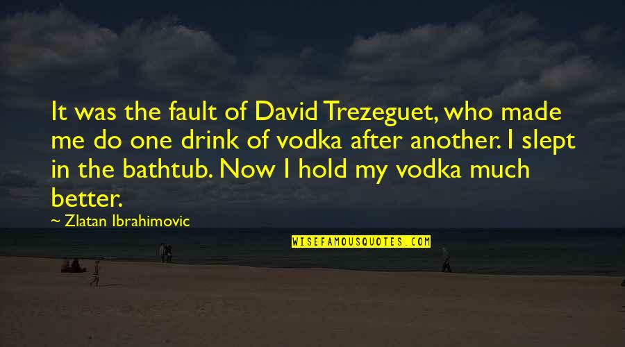 Just One Drink Quotes By Zlatan Ibrahimovic: It was the fault of David Trezeguet, who