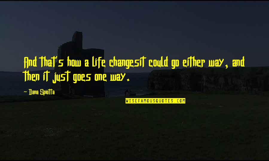 Just One Life Quotes By Dana Spiotta: And that's how a life changesit could go