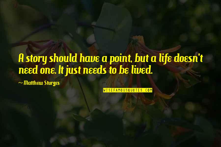 Just One Life Quotes By Matthew Sturges: A story should have a point, but a