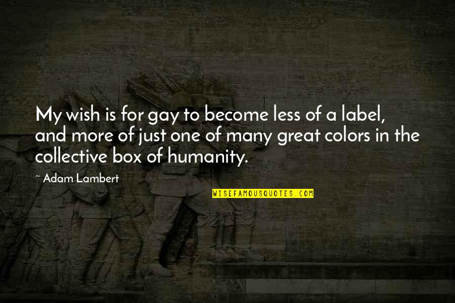 Just One More Quotes By Adam Lambert: My wish is for gay to become less