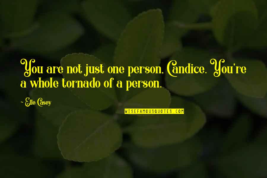Just One Person Quotes By Elle Casey: You are not just one person, Candice. You're