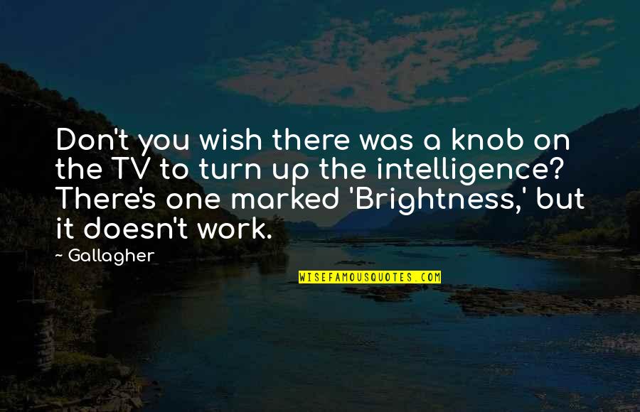Just One Wish Quotes By Gallagher: Don't you wish there was a knob on Just One Wish Quotes By Gallagher: Don't you wish there was a knob on