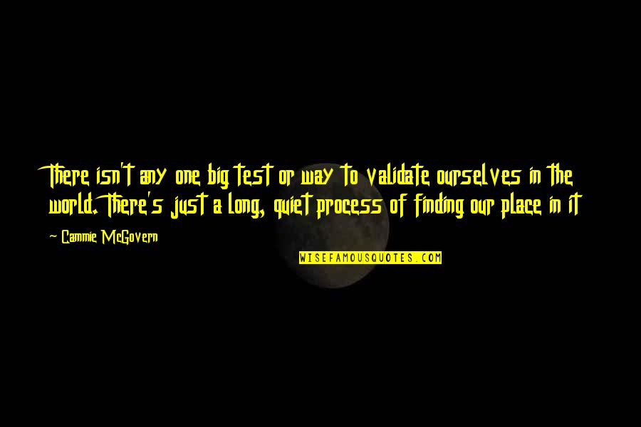Just Quiet Quotes By Cammie McGovern: There isn't any one big test or way Just Quiet Quotes By Cammie McGovern: There isn't any one big test or way