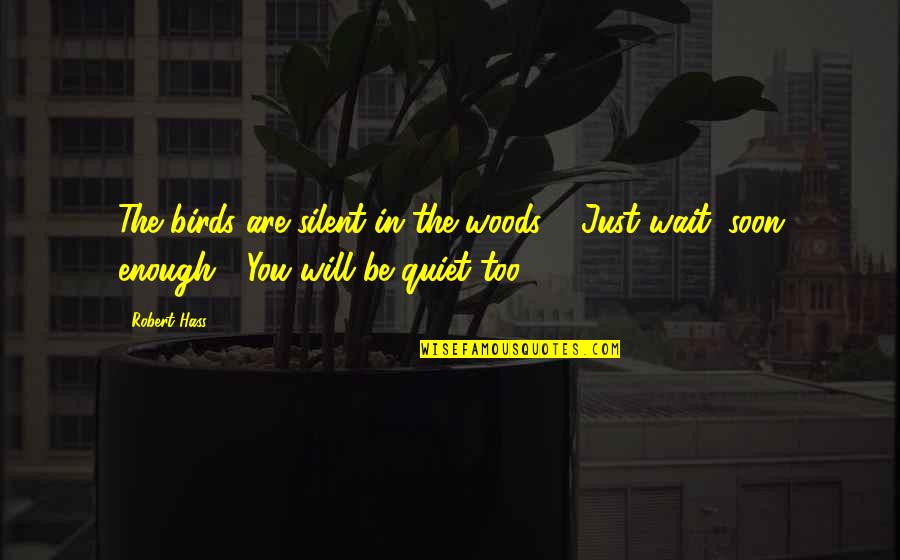 Just Quiet Quotes By Robert Hass: The birds are silent in the woods. /