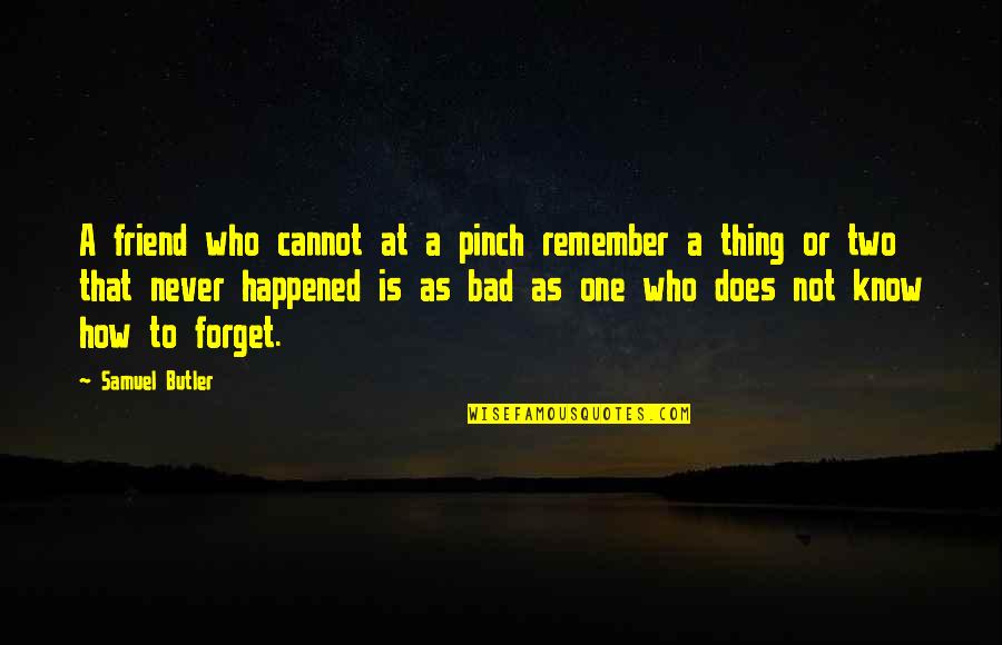 Just Remember One Thing Quotes By Samuel Butler: A friend who cannot at a pinch remember