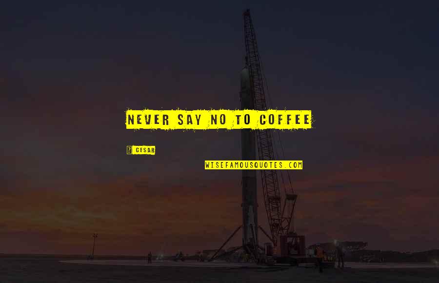 Just Say It Quote Quotes By Cesar: Never say no to coffee