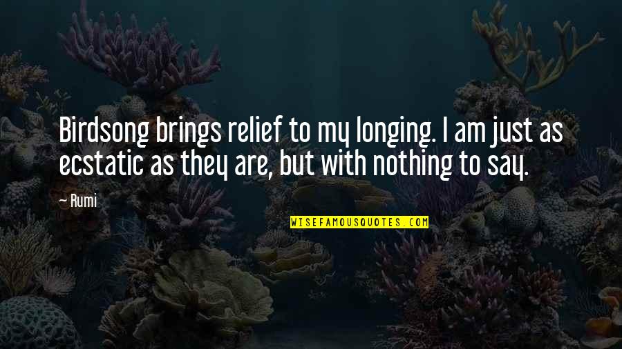 Just Say Nothing Quotes By Rumi: Birdsong brings relief to my longing. I am Just Say Nothing Quotes By Rumi: Birdsong brings relief to my longing. I am