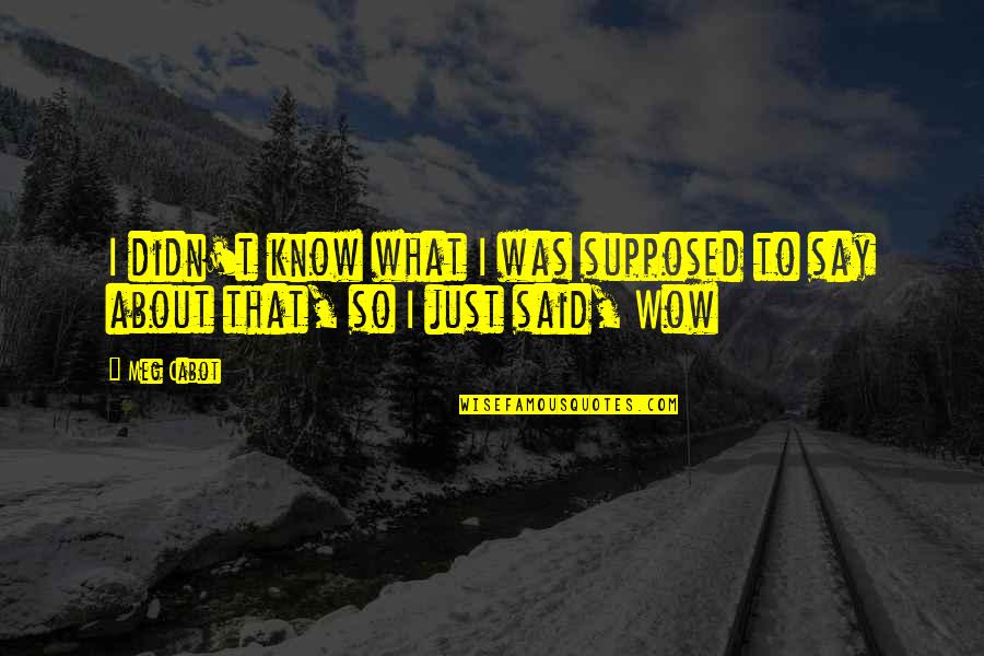 Just Say So Quotes By Meg Cabot: I didn't know what I was supposed to