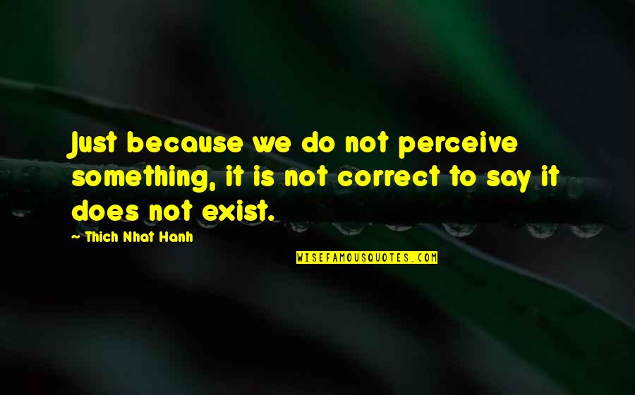 Just Say Something Quotes By Thich Nhat Hanh: Just because we do not perceive something, it