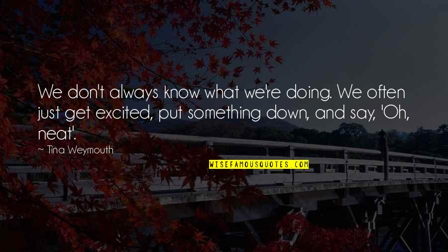 Just Say Something Quotes By Tina Weymouth: We don't always know what we're doing. We
