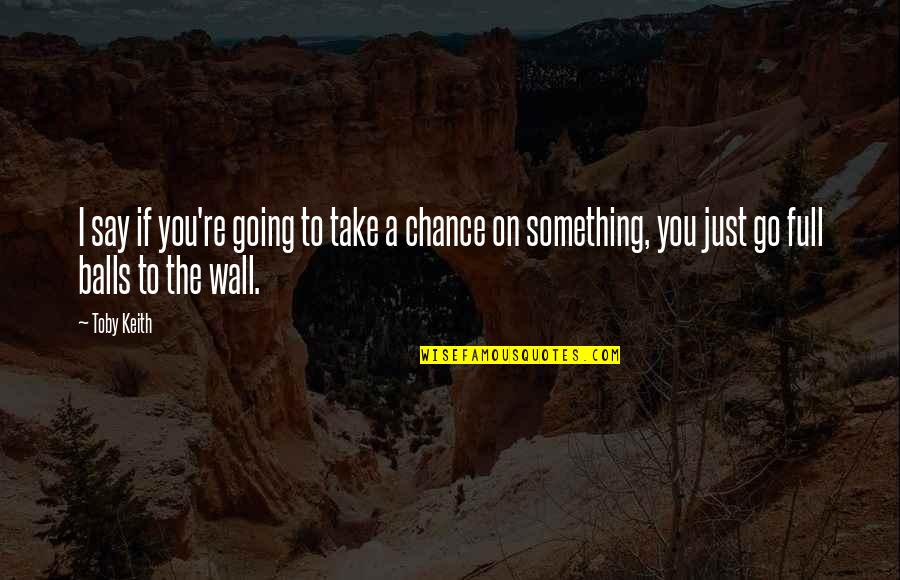 Just Say Something Quotes By Toby Keith: I say if you're going to take a