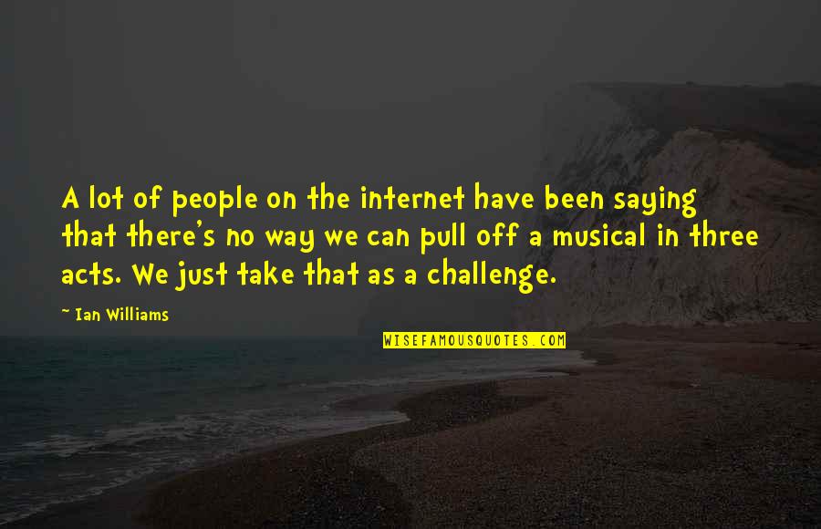 Just Saying Quotes By Ian Williams: A lot of people on the internet have