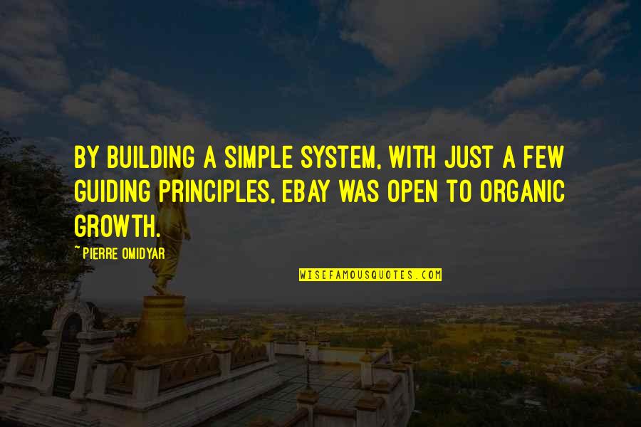 Just Simple Quotes By Pierre Omidyar: By building a simple system, with just a