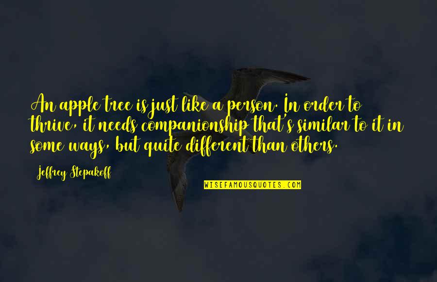 Just Some Quotes By Jeffrey Stepakoff: An apple tree is just like a person. Just Some Quotes By Jeffrey Stepakoff: An apple tree is just like a person.