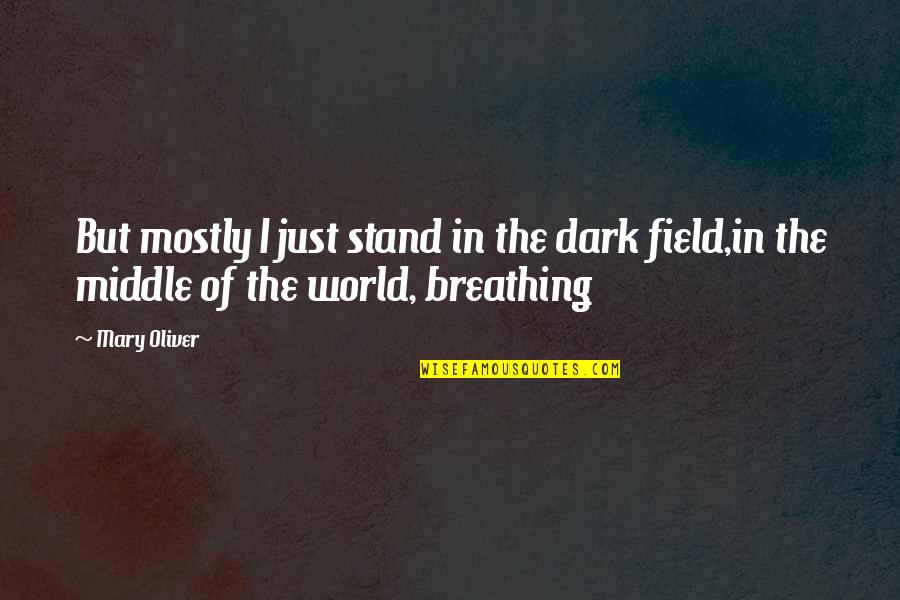 Just Stand Quotes By Mary Oliver: But mostly I just stand in the dark