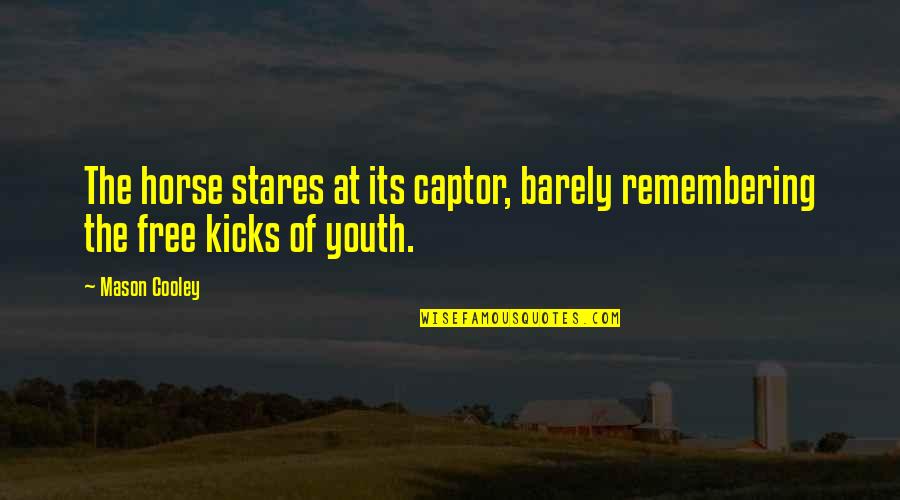 Just Stares Quotes By Mason Cooley: The horse stares at its captor, barely remembering