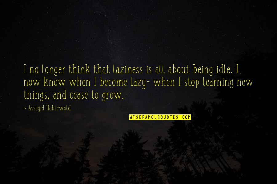 Just Stop And Think Quotes By Assegid Habtewold: I no longer think that laziness is all