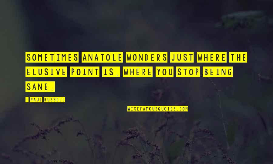 Just Stop Quotes By Paul Russell: Sometimes Anatole wonders just where the elusive point