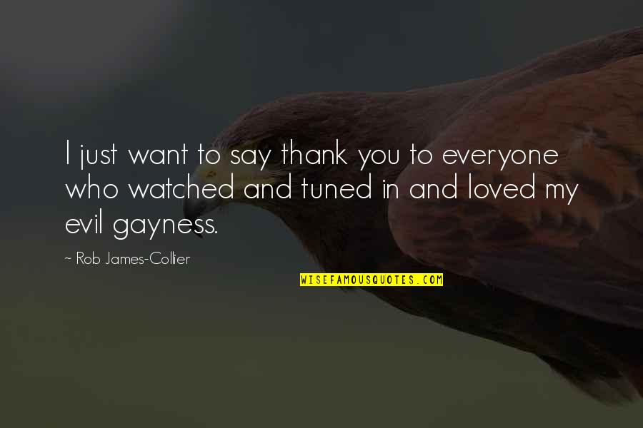 Just Thank You Quotes By Rob James-Collier: I just want to say thank you to