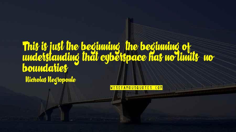 Just The Beginning Quotes By Nicholas Negroponte: This is just the beginning, the beginning of