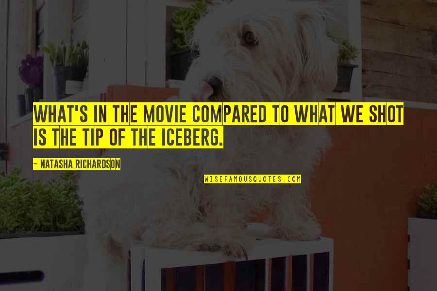 Just The Tip Of The Iceberg Quotes By Natasha Richardson: What's in the movie compared to what we