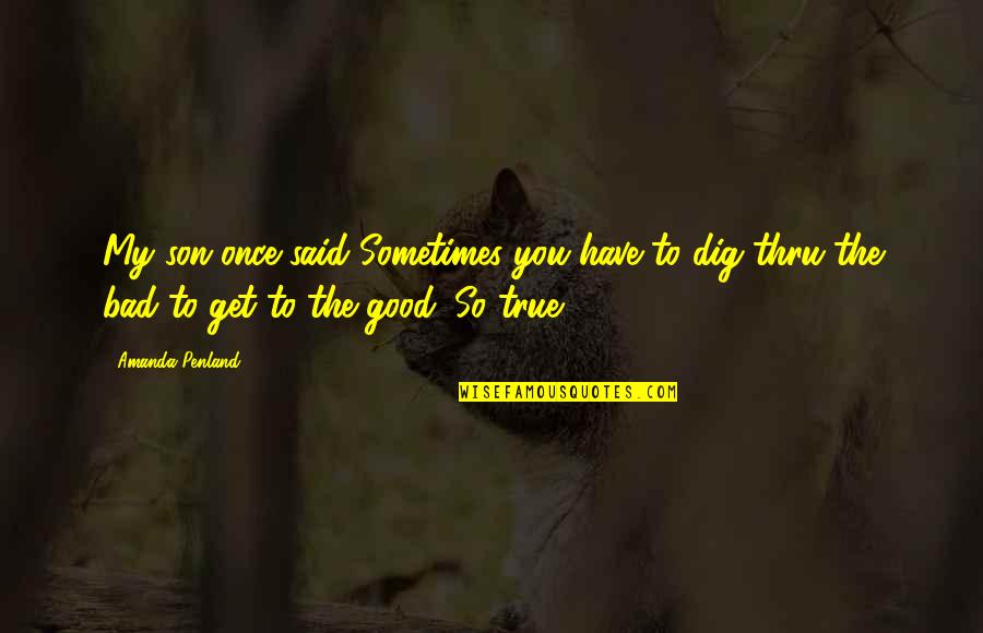 Just Too Good To Be True Quotes By Amanda Penland: My son once said Sometimes you have to