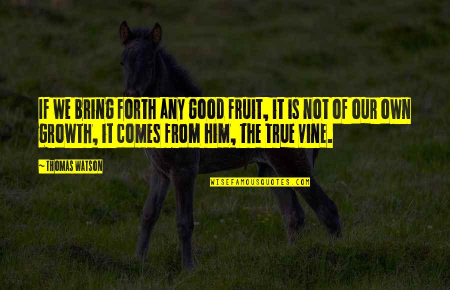 Just Too Good To Be True Quotes By Thomas Watson: If we bring forth any good fruit, it