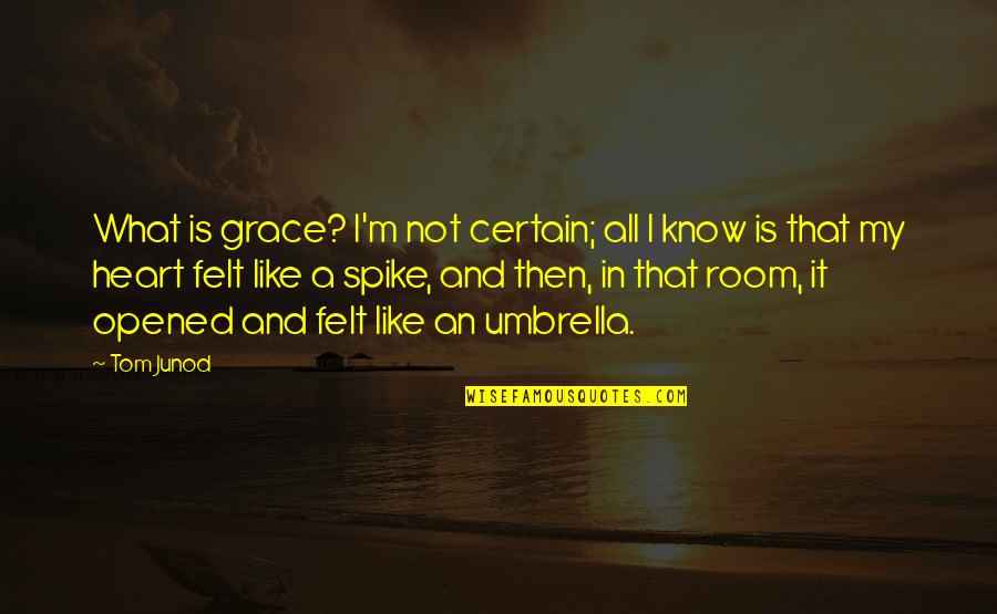 Just Umbrella Quotes By Tom Junod: What is grace? I'm not certain; all I Just Umbrella Quotes By Tom Junod: What is grace? I'm not certain; all I