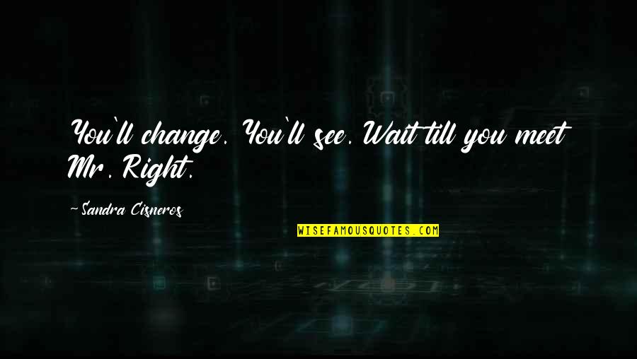 Just Wait And See Quotes By Sandra Cisneros: You'll change. You'll see. Wait till you meet
