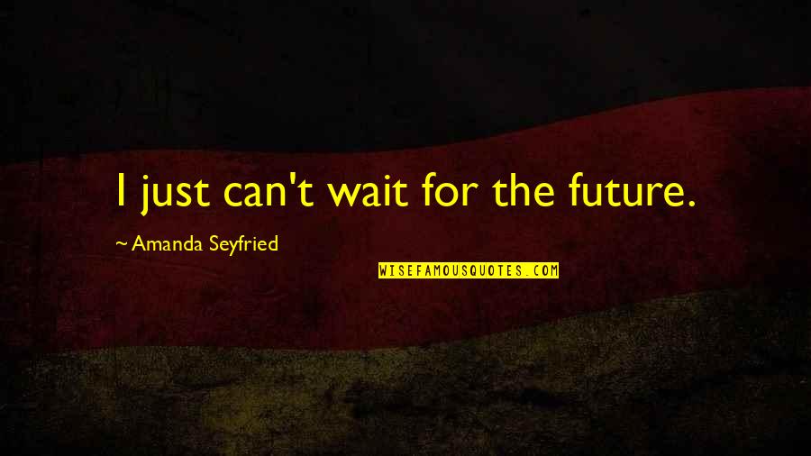 Just Wait Quotes By Amanda Seyfried: I just can't wait for the future.