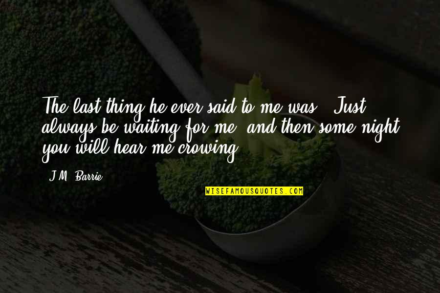 Just Waiting For You Quotes By J.M. Barrie: The last thing he ever said to me