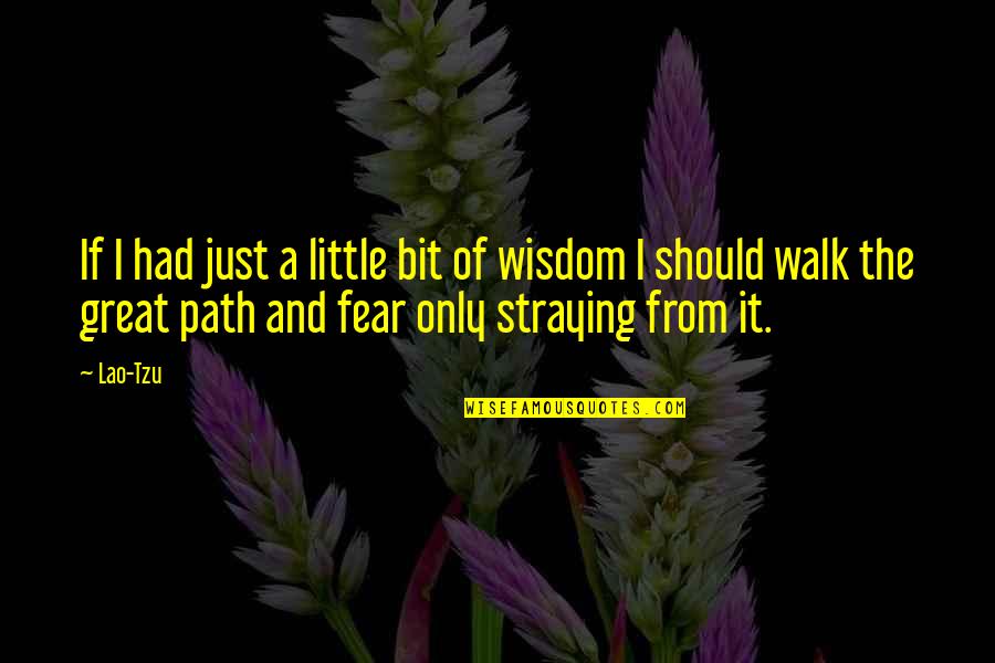 Just Walk Quotes By Lao-Tzu: If I had just a little bit of