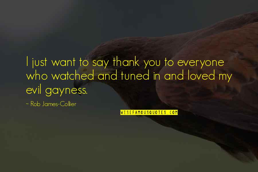 Just Want To Say Thank You Quotes By Rob James-Collier: I just want to say thank you to