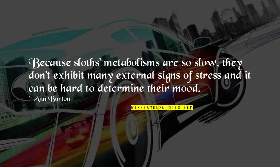 Just Wanted Let You Know Quotes By Ann Burton: Because sloths' metabolisms are so slow, they don't
