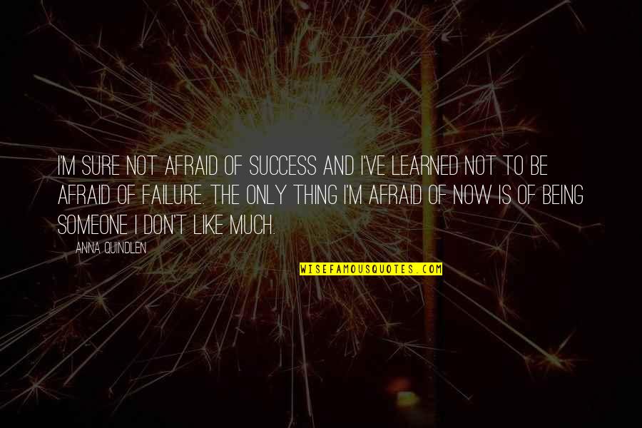 Just Wanting Someone To Love Me Quotes By Anna Quindlen: I'm sure not afraid of success and I've