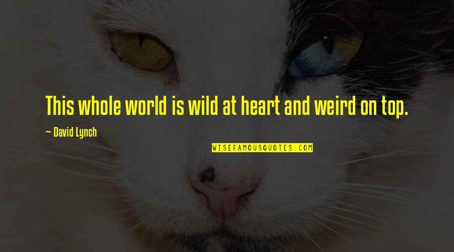 Justice And Judgement Quotes By David Lynch: This whole world is wild at heart and Justice And Judgement Quotes By David Lynch: This whole world is wild at heart and