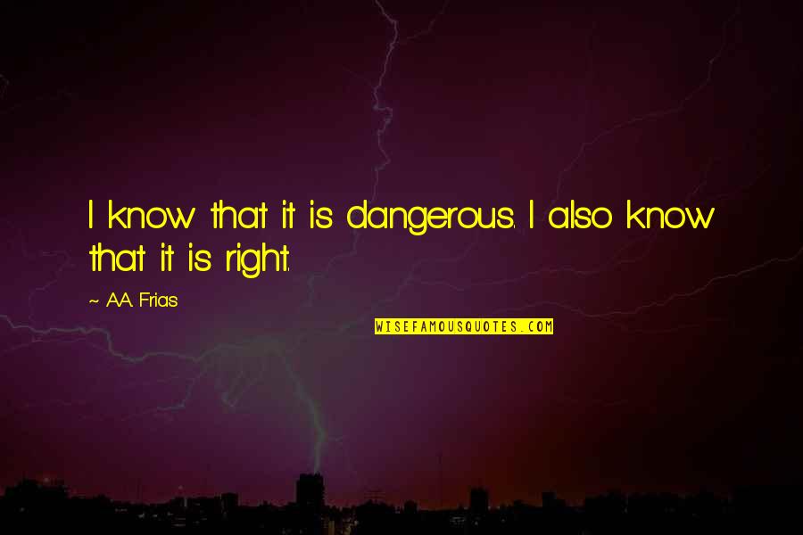 Justice And Morality Quotes By A.A. Frias: I know that it is dangerous. I also