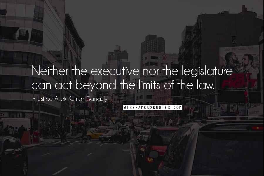 Justice Asok Kumar Ganguly quotes: Neither the executive nor the legislature can act beyond the limits of the law.