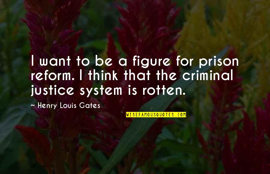 Justice System Quotes By Henry Louis Gates: I want to be a figure for prison