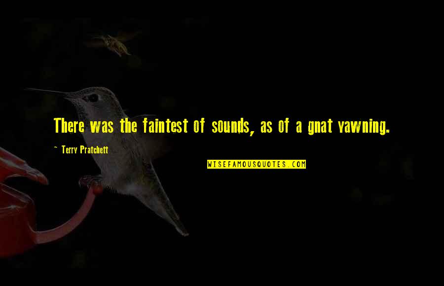 Justifiably Angry Quotes By Terry Pratchett: There was the faintest of sounds, as of