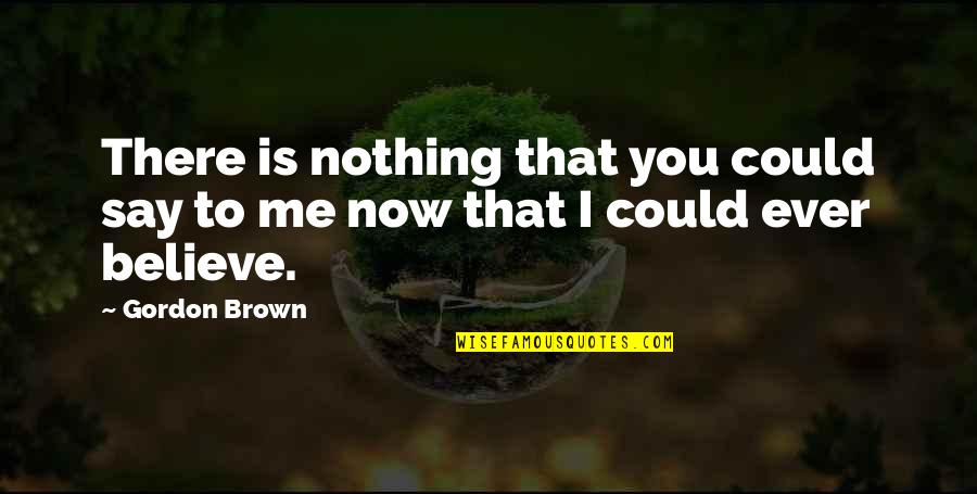 Justify Money Quotes By Gordon Brown: There is nothing that you could say to