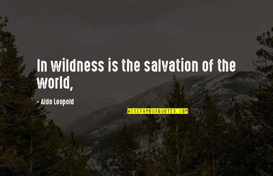 Justifying Bad Actions Quotes By Aldo Leopold: In wildness is the salvation of the world,